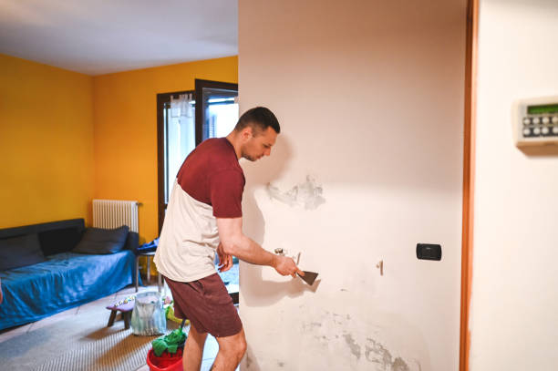 Best Emergency Mold Remediation in View Park Windsor Hills, CA